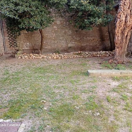Apartament Loft Vue Palais Des Papes Awinion Zewnętrze zdjęcie